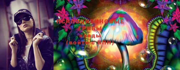 эйфоретик Кодинск