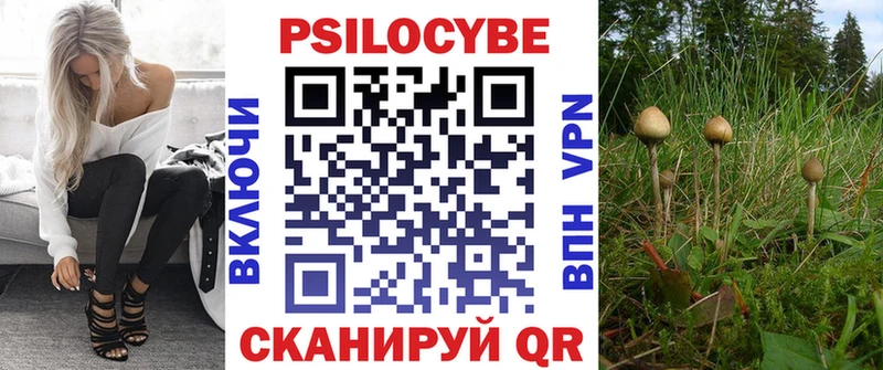 Купить закладки  Абаза  Псилоцибиновые грибы MAGIC MUSHROOMS 