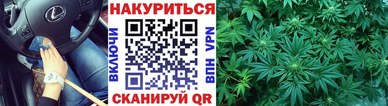 Бошки марихуана конопля Абаза